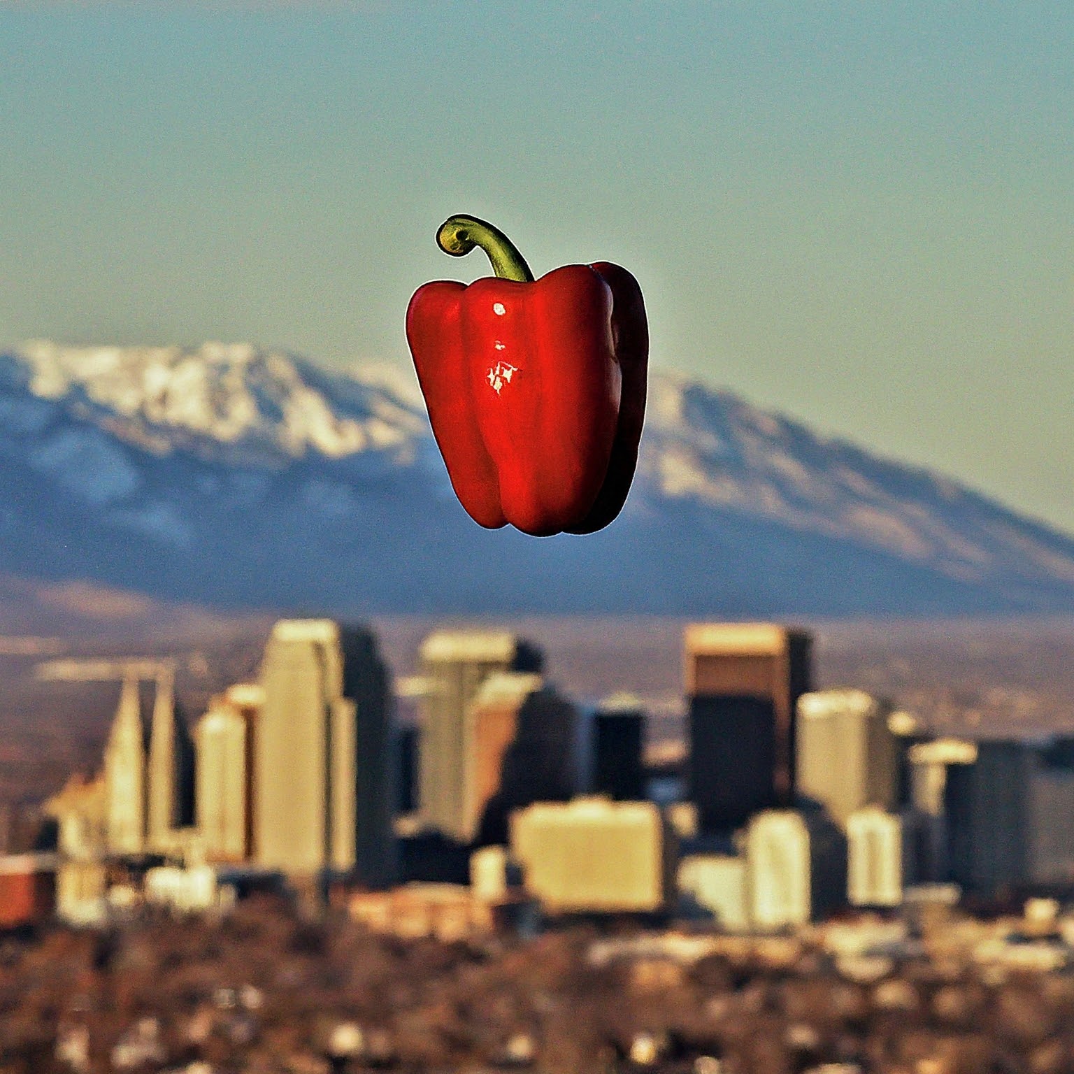 Holy Habanero! Salt Lake City’s Top Spots to Set Your Mouth Ablaze